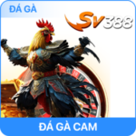 Đá Gà